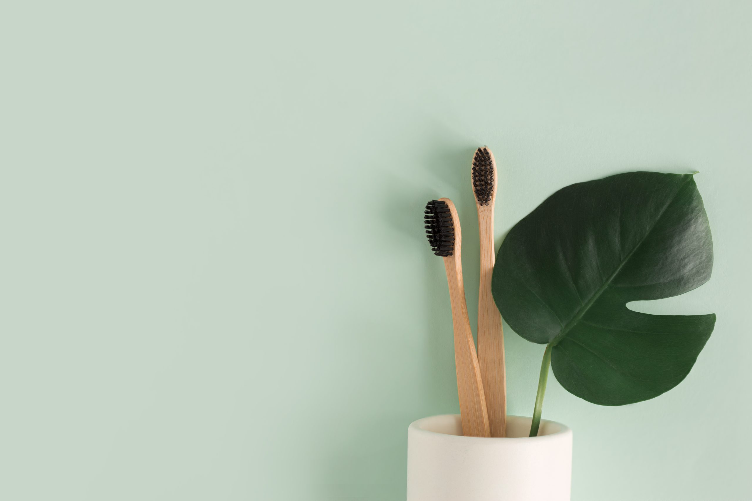 Zero waste concept. Top view Natural eco bamboo toothbrush in stand with monstera leaves on green background  top view Copy space